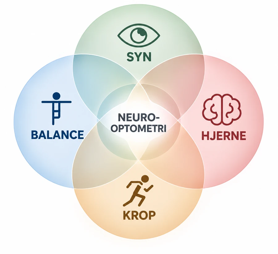 Neurooptometri i centrum af syn, balance, hjerne og krop
